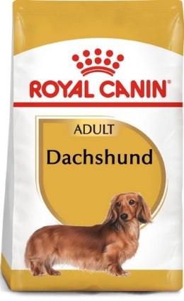 Royal Canin Dachshund Adult karma sucha dla psów dorosłych rasy jamnik 1,5kg