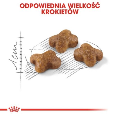 Royal Canin Kitten karma sucha dla kociąt od 4 do 12 miesiąca życia 400g Royal Canin Kitten karma sucha dla kociąt od 4 do 12 miesiąca życia 400g