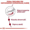 Royal Canin Medium Adult 7+ karma sucha dla psów dorosłych, ras średnich 15kg