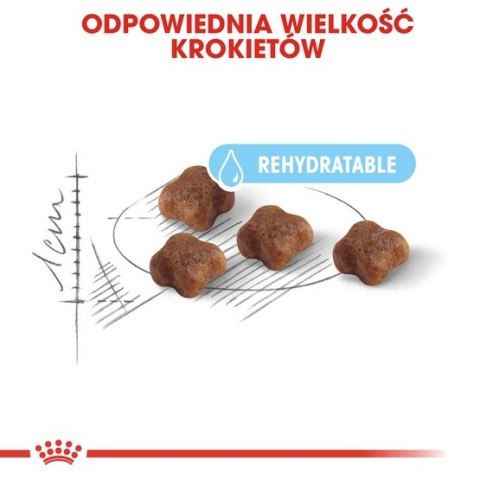 Royal Canin Mother&Babycat karma sucha dla kotek w okresie ciąży, laktacji i kociąt od 1 do 4 miesiąca 2kg Royal Canin Mother&Babycat karma sucha dla kotek w okresie ciąży, laktacji i kociąt od 1 do 4 miesiąca 2kg