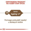 Royal Canin Ageing +12 karma sucha dla kotów dojrzałych 4kg