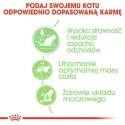 Royal Canin Digestive Care karma mokra w sosie dla kotów dorosłych, wrażliwy przewód pokarmowy saszetka 85g