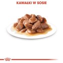 Royal Canin Digestive Care karma mokra w sosie dla kotów dorosłych, wrażliwy przewód pokarmowy saszetka 85g
