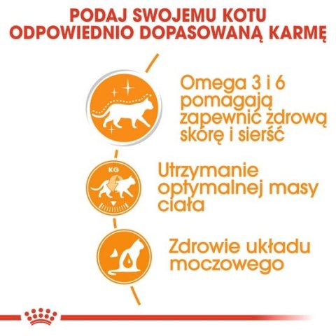 Royal Canin Hair & Skin Care w sosie karma mokra dla kotów dorosłych, zdrowa skóra, piękna sierść saszetka 85g Royal Canin Hair & Skin Care w sosie karma mokra dla kotów dorosłych, zdrowa skóra, piękna sierść saszetka 85g