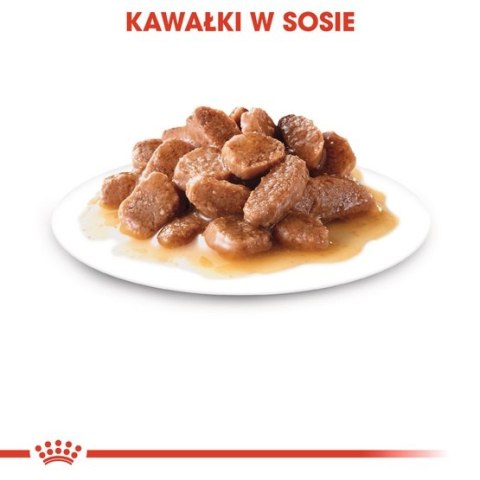 Royal Canin Hair & Skin Care w sosie karma mokra dla kotów dorosłych, zdrowa skóra, piękna sierść saszetka 85g Royal Canin Hair & Skin Care w sosie karma mokra dla kotów dorosłych, zdrowa skóra, piękna sierść saszetka 85g