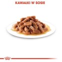 Royal Canin Kitten w sosie karma mokra dla kociąt do 12 miesiąca życia saszetka 85g