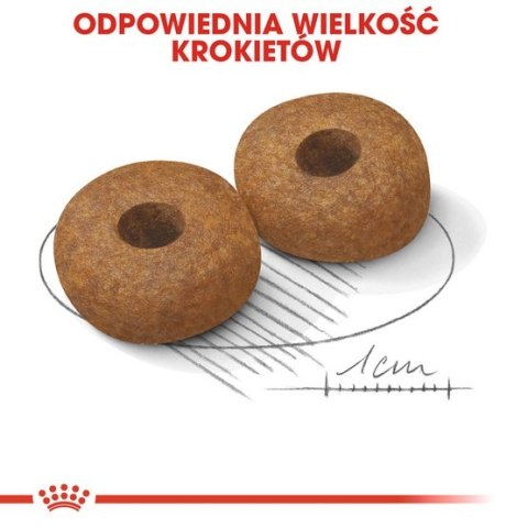 Royal Canin Medium Ageing 10+ karma sucha dla psów starszych, ras średnich 15kg