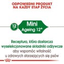 Royal Canin Mini Ageing 12+ karma sucha dla psów dojrzałych po 12 roku życia, ras małych 1,5kg