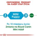 Royal Canin Mini Puppy karma sucha dla szczeniąt, od 2 do 10 miesiąca życia, ras małych 4kg