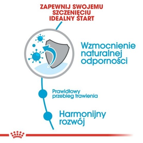 Royal Canin Mini Puppy karma sucha dla szczeniąt, od 2 do 10 miesiąca życia, ras małych 4kg Royal Canin Mini Puppy karma sucha dla szczeniąt, od 2 do 10 miesiąca życia, ras małych 4kg
