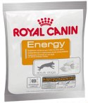 Royal Canin Nutritional Supplement Energy zdrowy przysmak dla psów dorosłych, aktywnych 50g