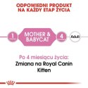 Royal Canin Mother & Babycat Mousse karma mokra - mus dla kociąt i kotek karmiących puszka 195g