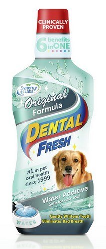 Dental Fresh Preparat do higieny jamy ustnej 503ml