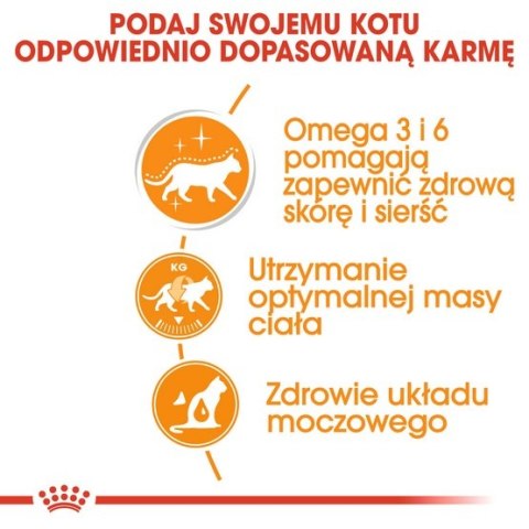 Royal Canin Hair & Skin Care karma mokra w galaretce dla kotów dorosłych, lśniąca sierść i zdrowa skóra saszetka 85g Royal Canin Hair & Skin Care karma mokra w galaretce dla kotów dorosłych, lśniąca sierść i zdrowa skóra saszetka 85g