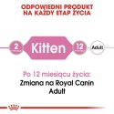 Royal Canin Kitten w galaretce karma mokra dla kociąt do 12 miesiąca życia saszetka 85g