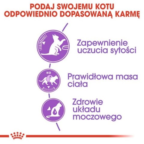 Royal Canin Appetite Control Care karma sucha dla kotów dorosłych, domagających się jedzenia 400g Royal Canin Appetite Control Care karma sucha dla kotów dorosłych, domagających się jedzenia 400g