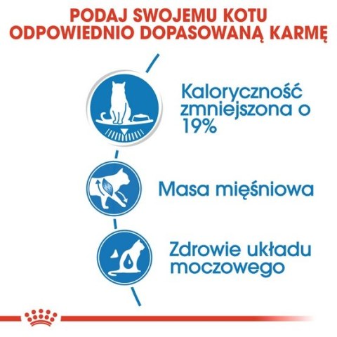 Royal Canin Light Weight Care w galaretce karma mokra dla kotów dorosłych, z tendencją do nadwagi saszetka 85g Royal Canin Light Weight Care w galaretce karma mokra dla kotów dorosłych, z tendencją do nadwagi saszetka 85g