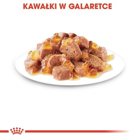 Royal Canin Light Weight Care w galaretce karma mokra dla kotów dorosłych, z tendencją do nadwagi saszetka 85g Royal Canin Light Weight Care w galaretce karma mokra dla kotów dorosłych, z tendencją do nadwagi saszetka 85g