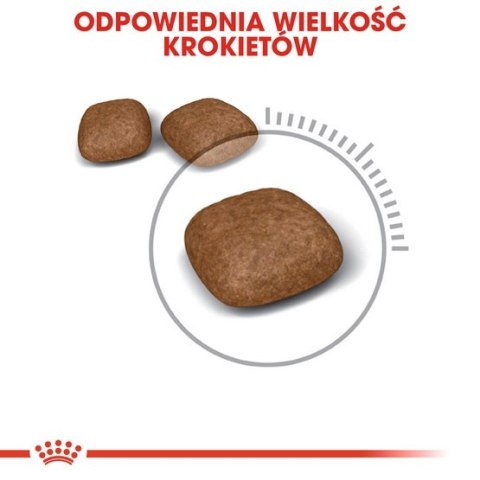 Royal Canin Urinary Care karma sucha dla kotów dorosłych, ochrona dolnych dróg moczowych 2kg Royal Canin Urinary Care karma sucha dla kotów dorosłych, ochrona dolnych dróg moczowych 2kg