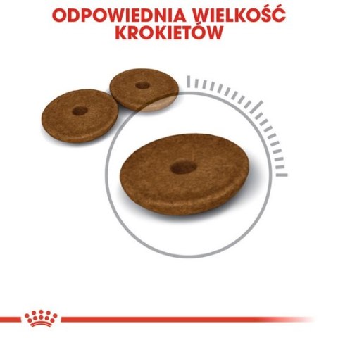 Royal Canin Digestive Care karma sucha dla kotów dorosłych, wspomagająca przebieg trawienia 400g Royal Canin Digestive Care karma sucha dla kotów dorosłych, wspomagająca przebieg trawienia 400g