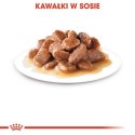 Royal Canin Hairball Care w sosie karma mokra w sosie dla kotów dorosłych, eliminacja kul włosowych saszetka 85g