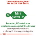 Royal Canin Mini Ageing 12+ karma mokra w sosie dla psów dojrzałych po 12 roku życia, ras małych saszetka 85g