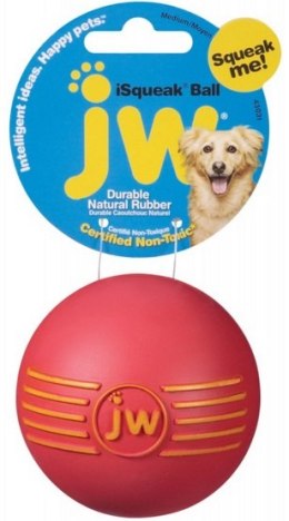 JW Pet iSqueak Ball Medium [32124D]