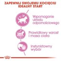 Royal Canin Kitten Sterilised karma mokra w galaretce dla kociąt od 6 do 12 miesiąca życia, sterylizowanych saszetka 85g