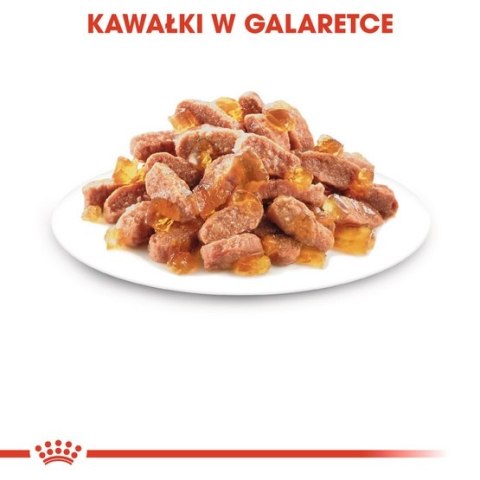Royal Canin Kitten Sterilised karma mokra w galaretce dla kociąt od 6 do 12 miesiąca życia, sterylizowanych saszetka 85g Royal Canin Kitten Sterilised karma mokra w galaretce dla kociąt od 6 do 12 miesiąca życia, sterylizowanych saszetka 85g