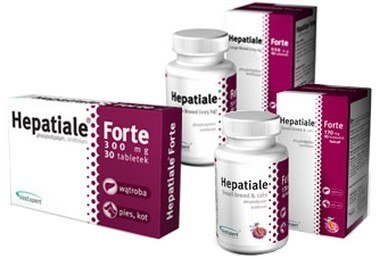 Hepatiale Forte małe psy i kot 40 kapsułek Hepatiale Forte małe psy i kot 40 kapsułek