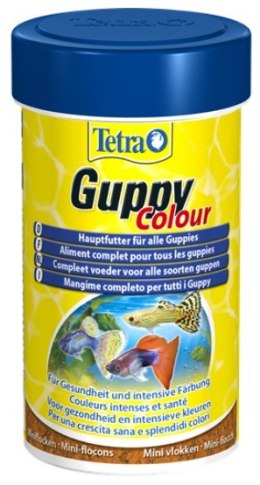 Tetra Guppy Colour 100ml