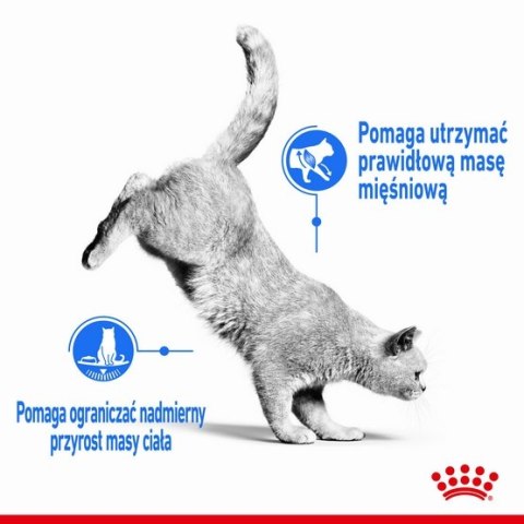 Royal Canin Light Weight Care karma sucha dla kotów dorosłych, utrzymanie prawidłowej masy ciała 400g Royal Canin Light Weight Care karma sucha dla kotów dorosłych, utrzymanie prawidłowej masy ciała 400g