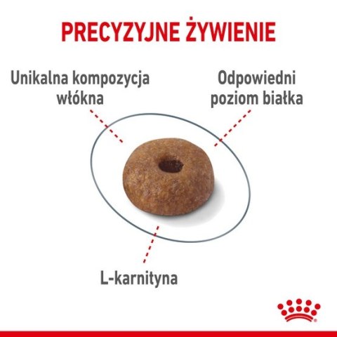 Royal Canin Light Weight Care karma sucha dla kotów dorosłych, utrzymanie prawidłowej masy ciała 400g Royal Canin Light Weight Care karma sucha dla kotów dorosłych, utrzymanie prawidłowej masy ciała 400g