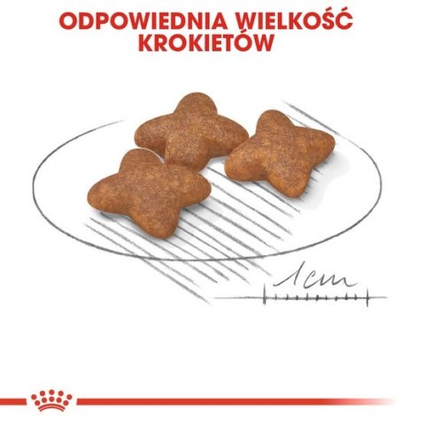 Royal Canin Mini Adult karma sucha dla psów dorosłych, ras małych 0,8kg Royal Canin Mini Adult karma sucha dla psów dorosłych, ras małych 0,8kg