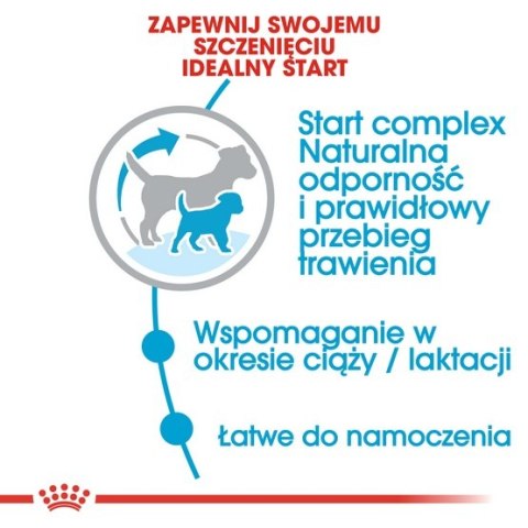 Royal Canin Mini Starter Mother&Babydog karma sucha dla szczeniąt do 2 miesiąca i suk karmiących ras małych 1kg Royal Canin Mini Starter Mother&Babydog karma sucha dla szczeniąt do 2 miesiąca i suk karmiących ras małych 1kg