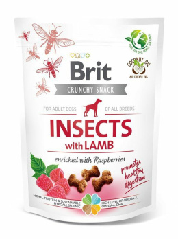 BRIT SNACK INSECT LAMB 200g