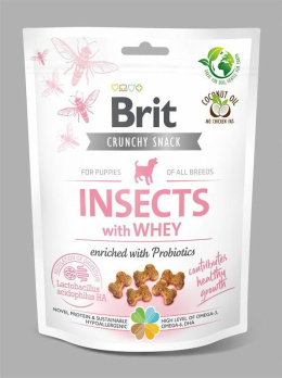 BRIT SNACK INSECT PUPPY 200g