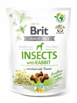 BRIT SNACK INSECT RABBIT 200g