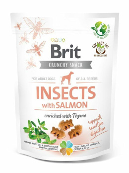 BRIT SNACK INSECT SALMON 200g