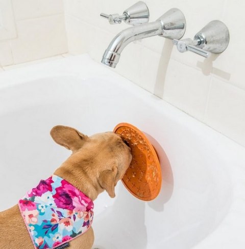 LickiMat Splash miska z przyssawką turkusowa LickiMat Splash miska z przyssawką turkusowa