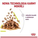 Royal Canin Sensory Smell w sosie karma mokra dla kotów dorosłych saszetka 85g