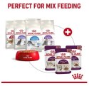 Royal Canin Sensory Taste w sosie karma mokra dla kotów dorosłych saszetka 85g