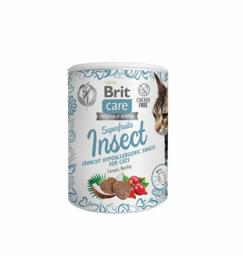 BRIT CARE SNACK INSECT 100g