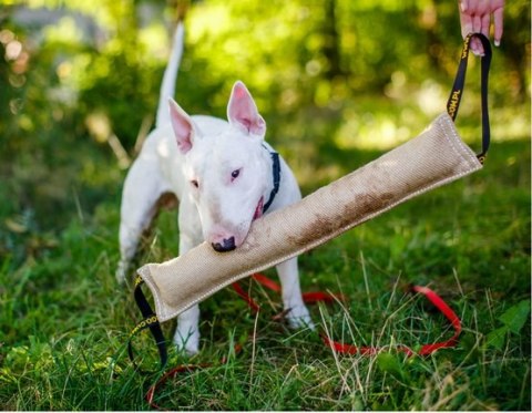 Dingo Zabawka dla psa - Szarpak z juty z dwoma uchwytami 40/6cm