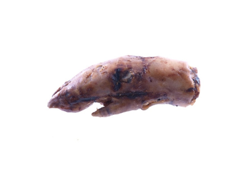 ARTEX NOGI WIEPRZOWE PRZEDNIE ARTEX NOGI WIEPRZOWE PRZEDNIE