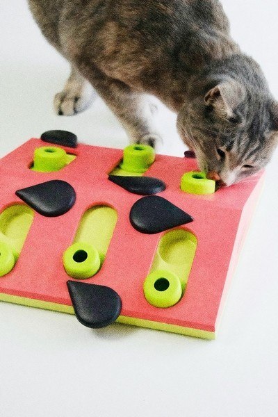 Nina Ottosson Cat Melon Madness Puzzle & Play - gra edukacyjna dla kotów Nina Ottosson Cat Melon Madness Puzzle & Play - gra edukacyjna dla kotów