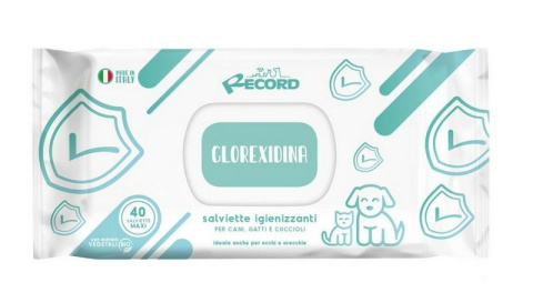 RECORD CHUSTECZKI NEW CHLORHEKSYDYNA ANTYBAKTERYJNE XL 80 szt. RECORD CHUSTECZKI NEW CHLORHEKSYDYNA ANTYBAKTERYJNE XL 80 szt.