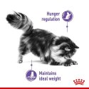 Royal Canin Appetite Control Care karma mokra w sosie dla kotów dorosłych, domagających się jedzenia saszetka 85g