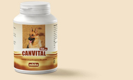 MIKITA CANVITAL 150szt