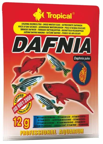 TROPICAL DAFNIA +WIT TOREBKA 12g TROPICAL DAFNIA +WIT TOREBKA 12g